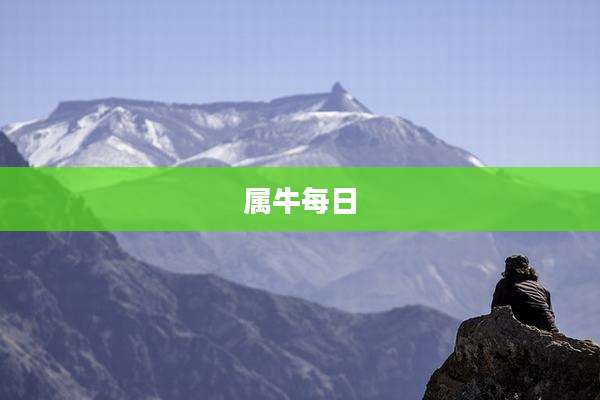 属牛每日
