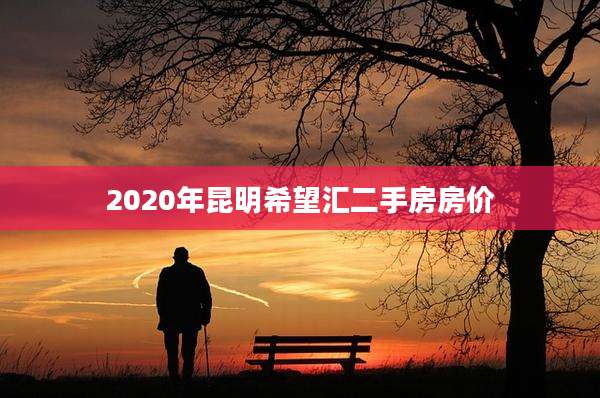 2020年昆明希望汇二手房房价