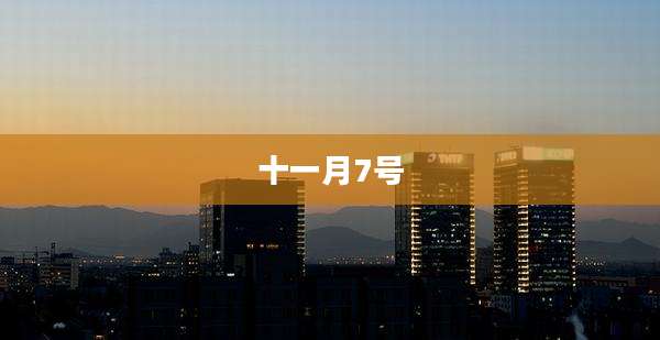 十一月7号