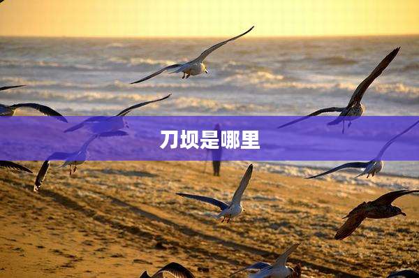 刀坝是哪里