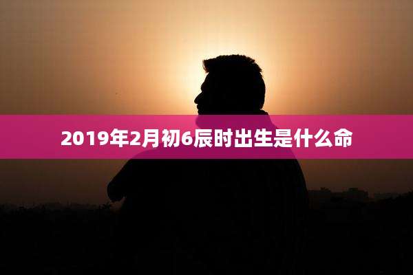2019年2月初6辰时出生是什么命