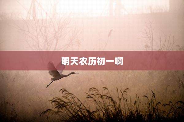 明天农历初一啊