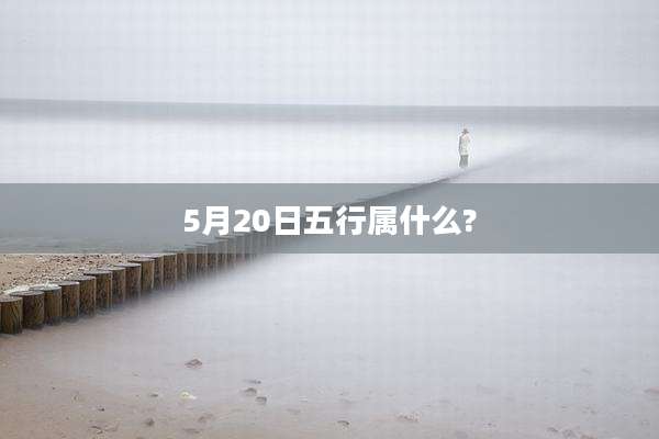 5月20日五行属什么?