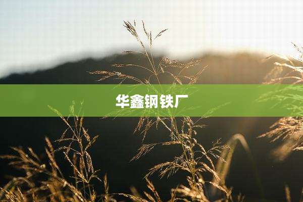 华鑫钢铁厂
