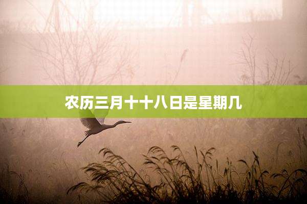 农历三月十十八日是星期几