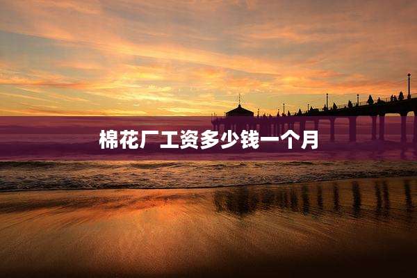 棉花厂工资多少钱一个月