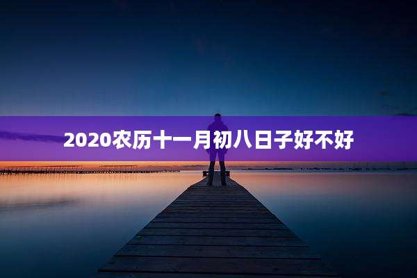 2020农历十一月初八日子好不好