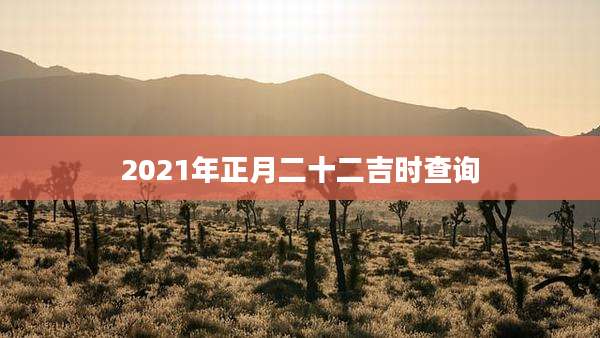 2021年正月二十二吉时查询