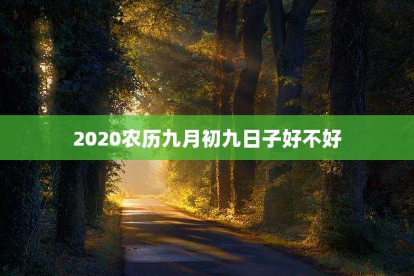2020农历九月初九日子好不好