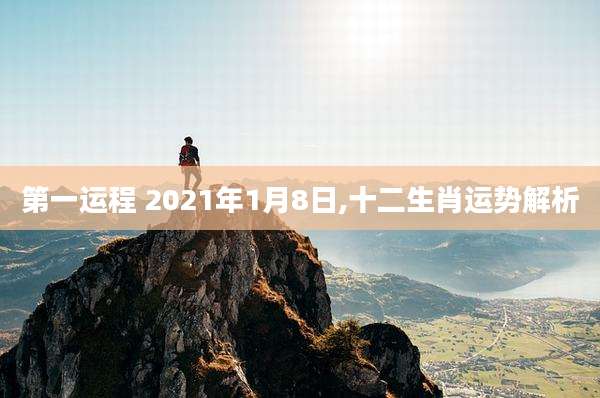 第一运程 2021年1月8日,十二生肖运势解析
