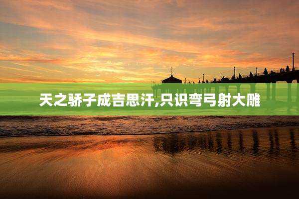 天之骄子成吉思汗,只识弯弓射大雕