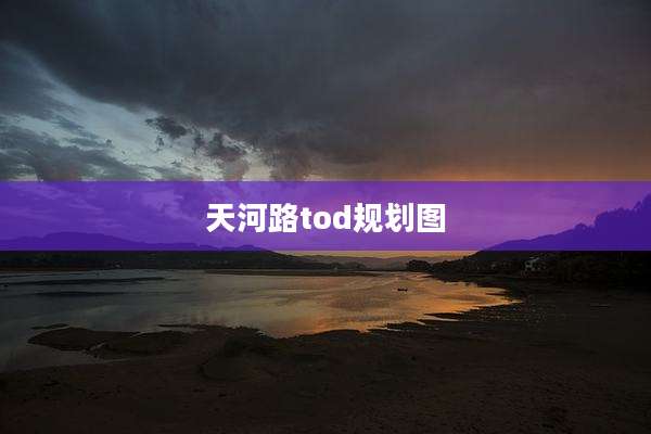 天河路tod规划图