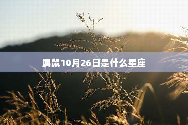 属鼠10月26日是什么星座