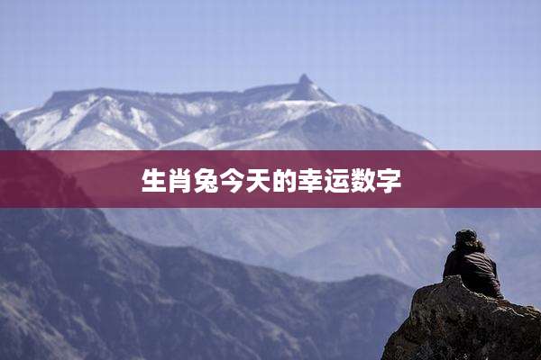 生肖兔今天的幸运数字