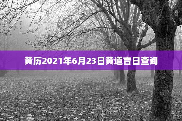 黄历2021年6月23日黄道吉日查询
