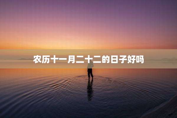 农历十一月二十二的日子好吗