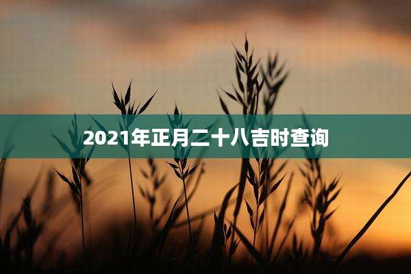 2021年正月二十八吉时查询