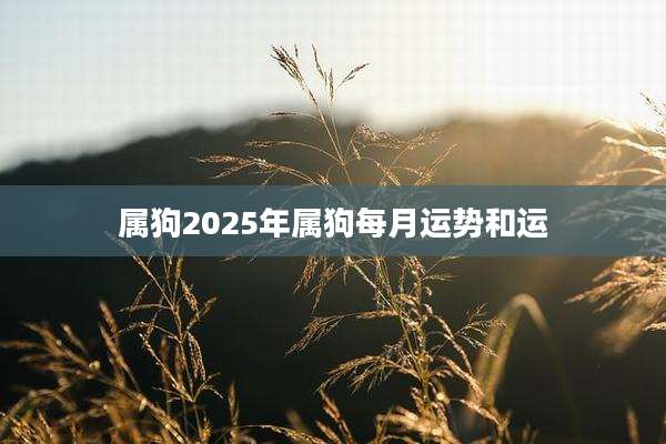 属狗2025年属狗每月运势和运