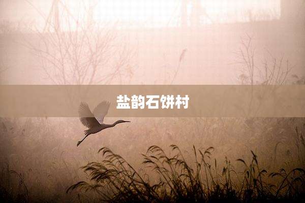 盐韵石饼村
