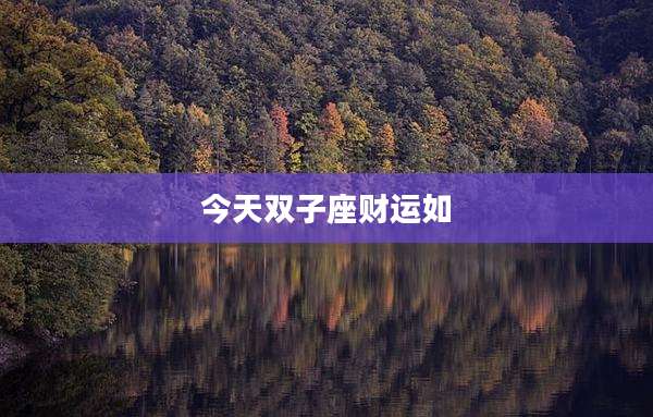 今天双子座财运如