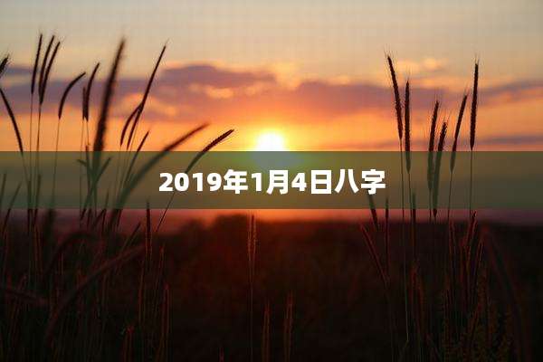 2019年1月4日八字