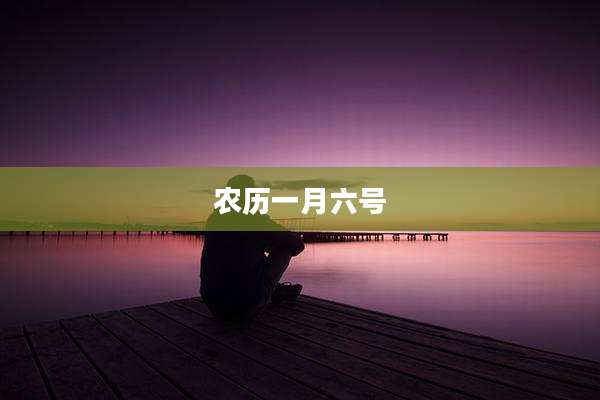 农历一月六号