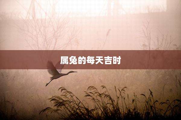 属兔的每天吉时