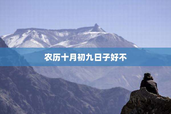 农历十月初九日子好不