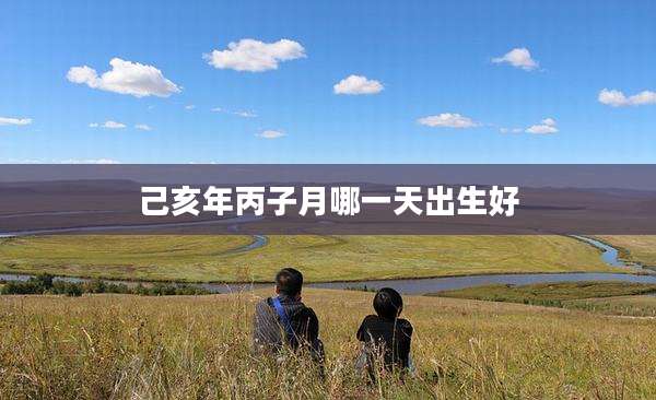 己亥年丙子月哪一天出生好