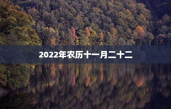 2022年农历十一月二十二