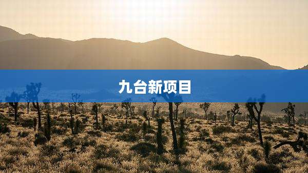 九台新项目