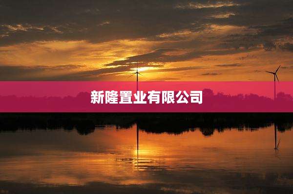 新隆置业有限公司