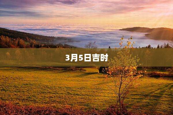 3月5日吉时
