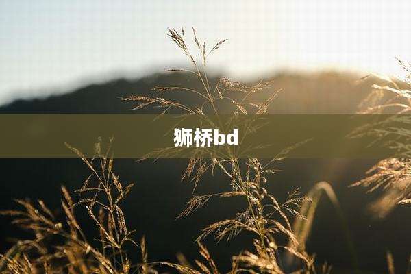 狮桥bd