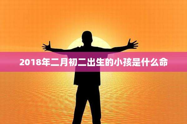 2018年二月初二出生的小孩是什么命