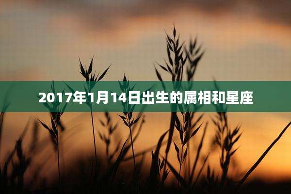 2017年1月14日出生的属相和星座