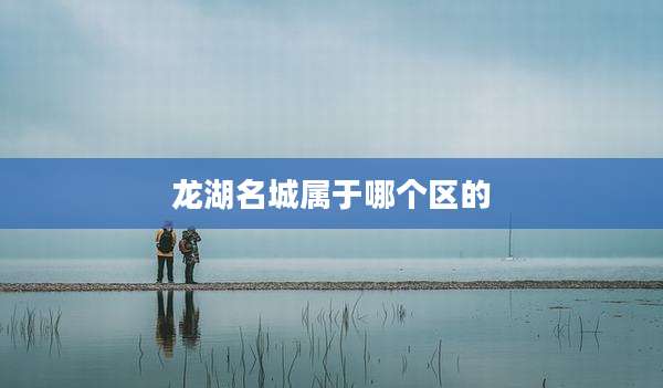 龙湖名城属于哪个区的