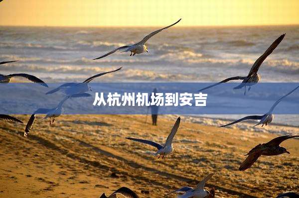 从杭州机场到安吉