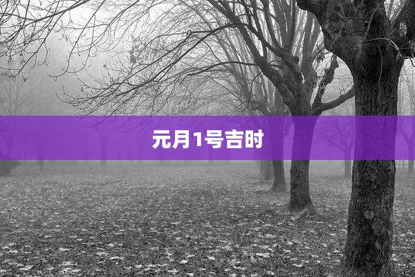元月1号吉时