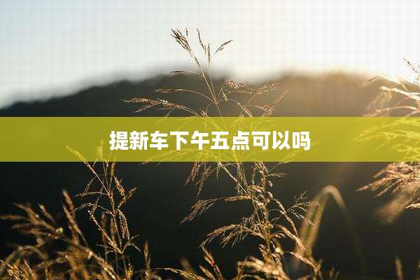 提新车下午五点可以吗