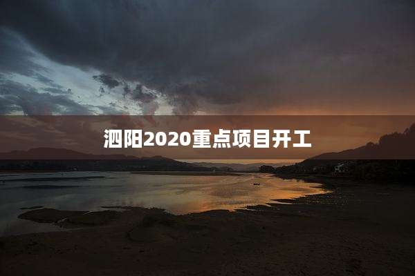 泗阳2020重点项目开工