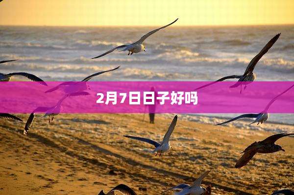 2月7日日子好吗