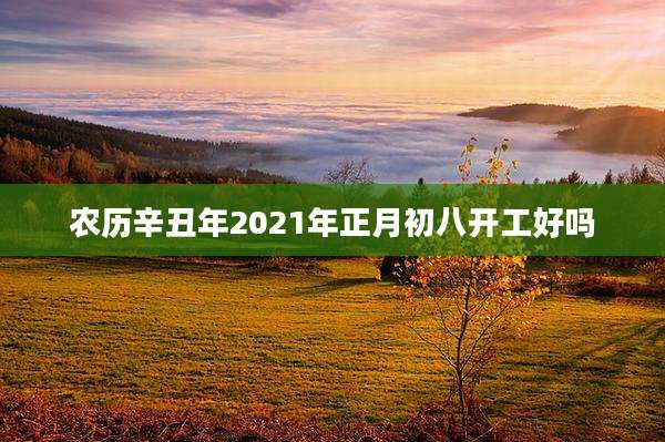 农历辛丑年2021年正月初八开工好吗