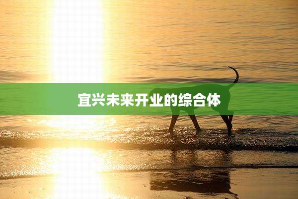 宜兴未来开业的综合体