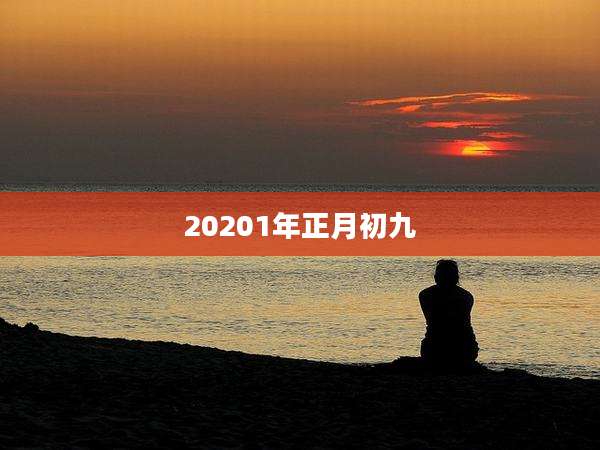 20201年正月初九
