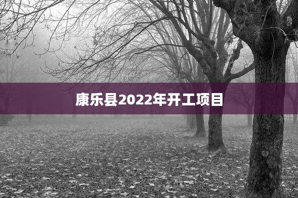 康乐县2022年开工项目