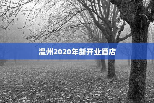 温州2020年新开业酒店