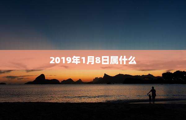 2019年1月8日属什么
