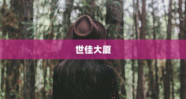 世佳大厦