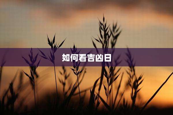 如何看吉凶日